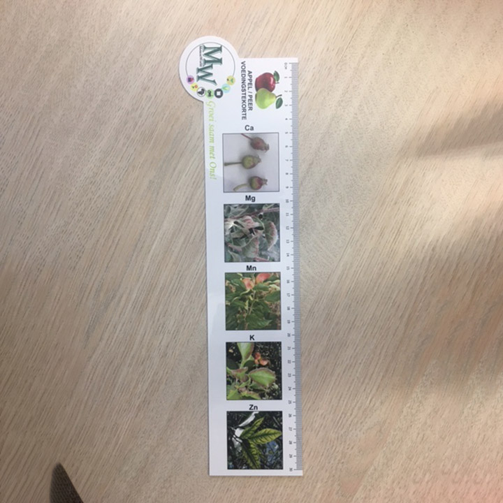 ruler-30cm-ABS diecut-01